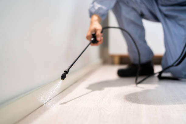 Licensed Mosquito Control service in Carthage, IL - Show Me Pest Control