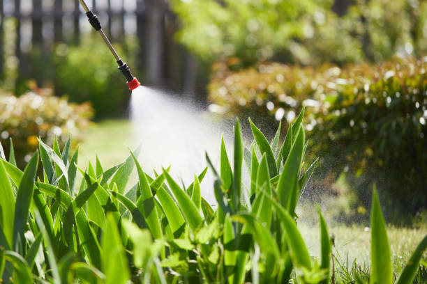 24/7 Emergency Mosquito Control experts in Carthage, IL